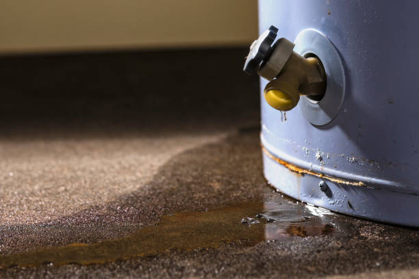 Best Flooded house restoration  in La Vernia, TX