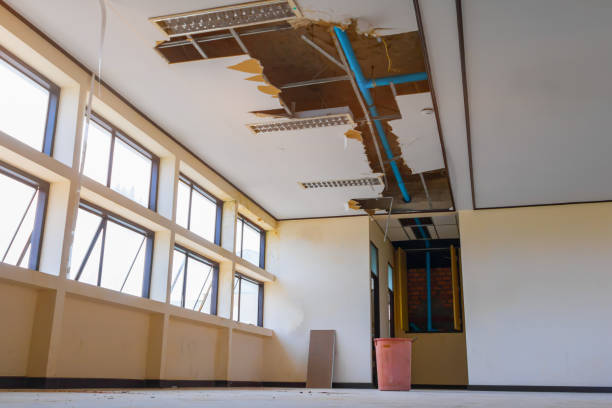  La Vernia, TX Water damage restoration Pros