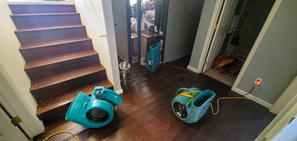 Local water damage restoration in La Vernia, TX