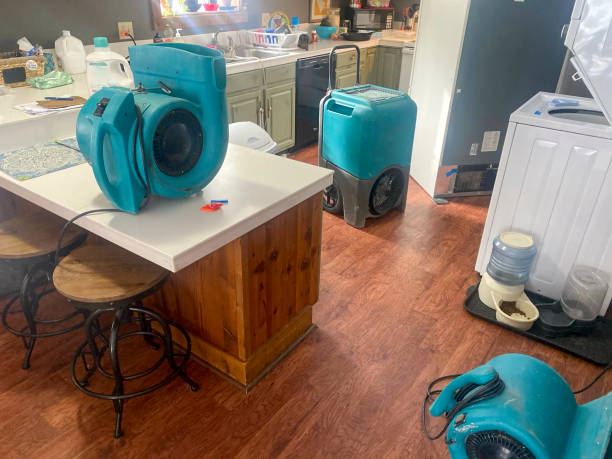 Best Emergency water damage restoration  in La Vernia, TX