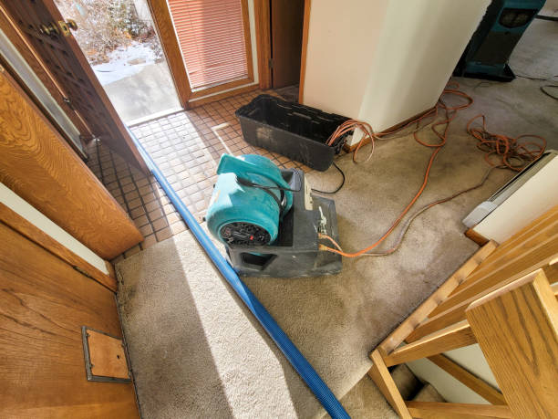 Best Fire Damage Restoration  in La Vernia, TX