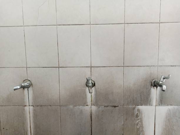 Best Carpet water damage restoration  in La Vernia, TX