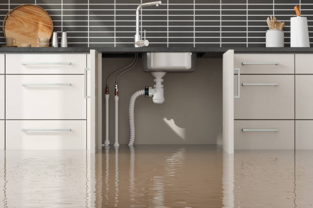 Trusted La Vernia, TX Water damage restoration Experts