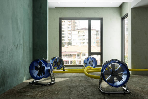 Best Water damage restoration near me  in La Vernia, TX